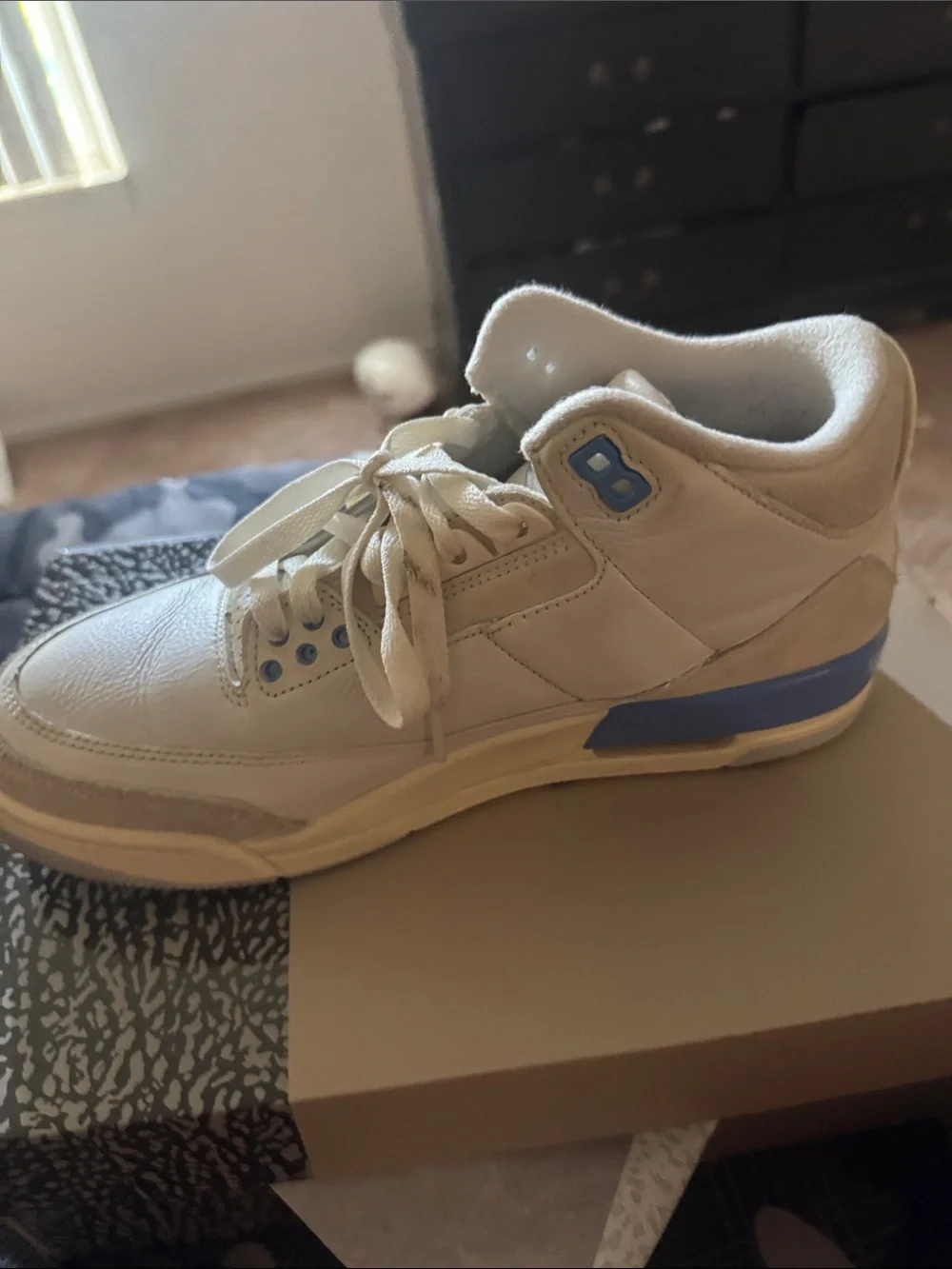Jordan Men's Shoebox with Blue Jumpman and Elephant Print